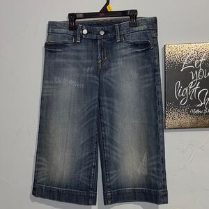 Citizens Of Humanity Blue Denim Shorts